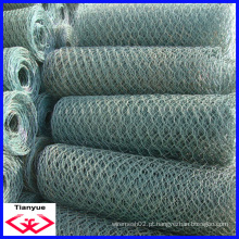 Hot Dipped galvanizado rede de fio hexagonal (TYD-055)